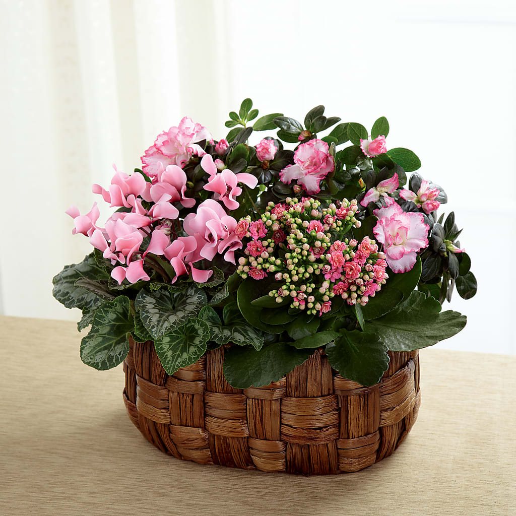 Pink Assortment – M & R FLOWER AND GIFT SHOP, Lancaster CA