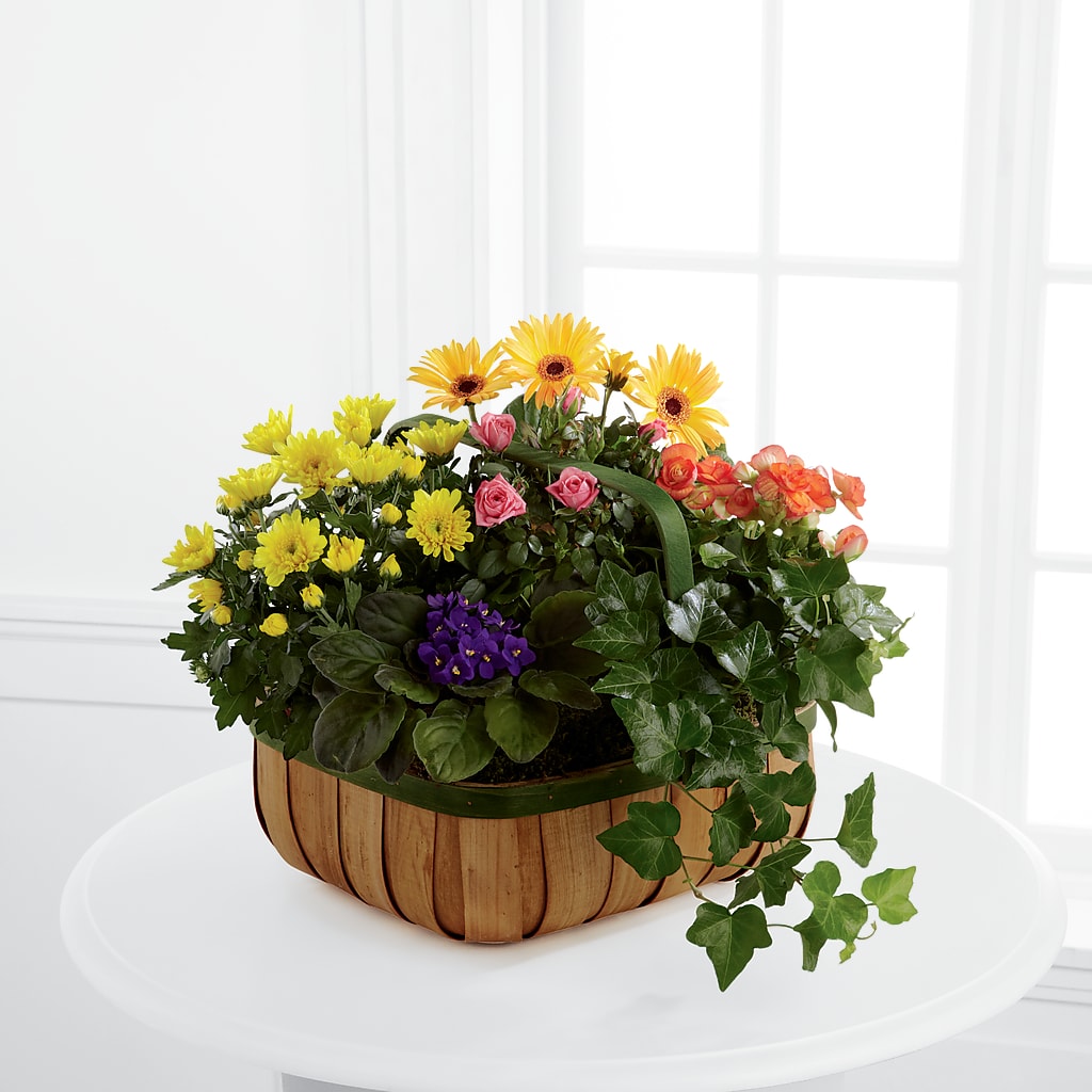Gentle Blossoms Basket – M & R FLOWER AND GIFT SHOP, Lancaster CA