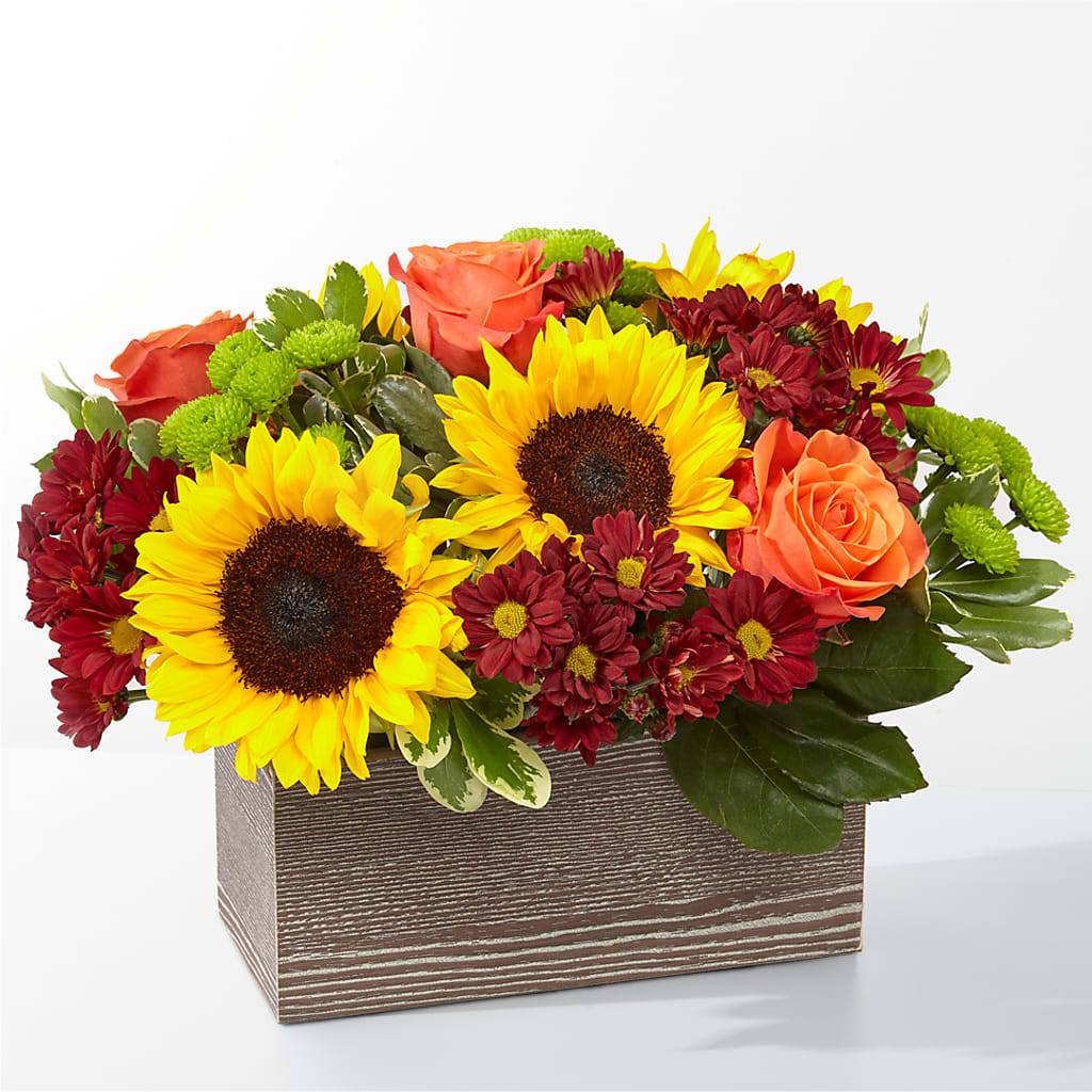 Happy Harvest Garden – M & R FLOWER AND GIFT SHOP, Lancaster CA