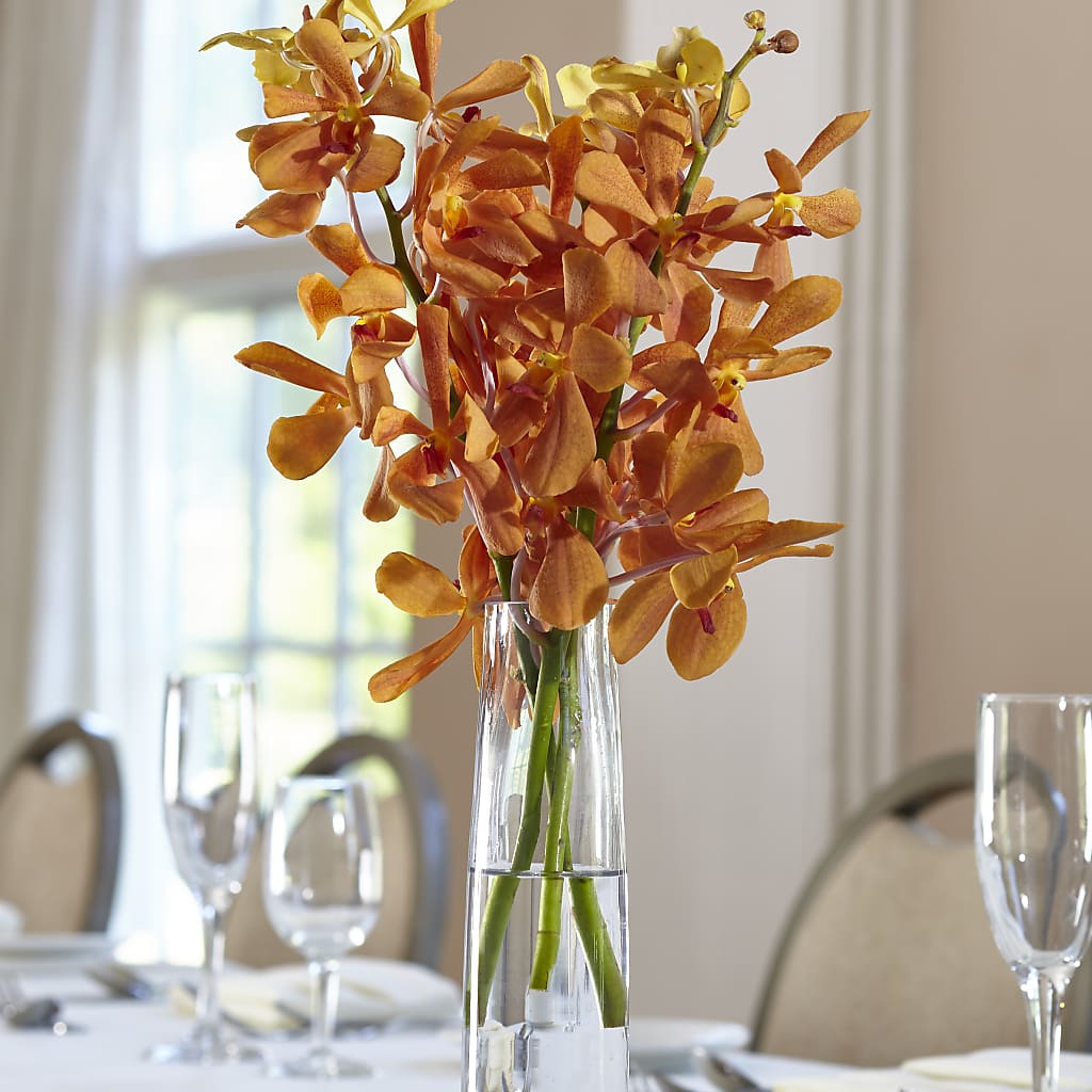 Orange Mokara Bud Vase – M & R FLOWER AND GIFT SHOP, Lancaster CA