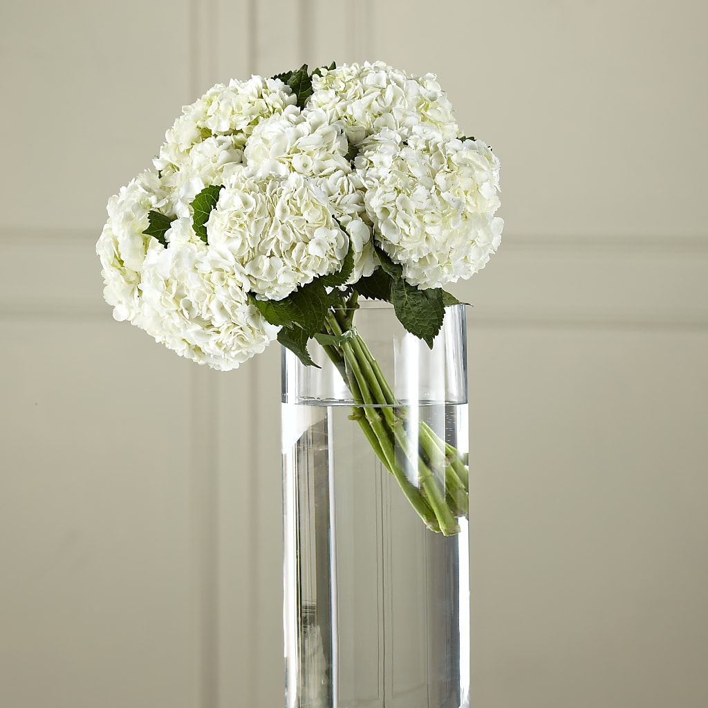White Hydrangea Hand-Tied Bouquet – M & R FLOWER AND GIFT SHOP, Lancaster CA