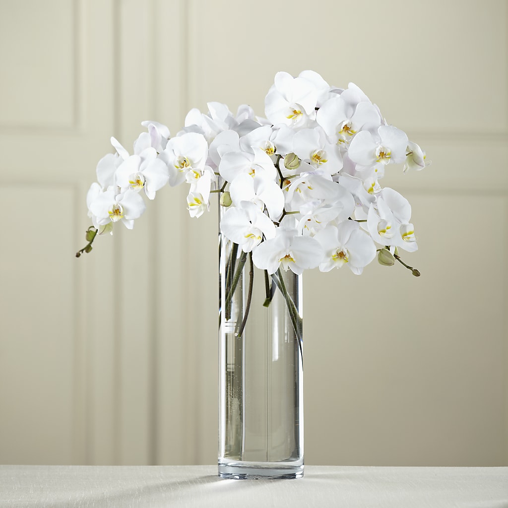 White Phalaenopsis Bouquet – M & R FLOWER AND GIFT SHOP, Lancaster CA