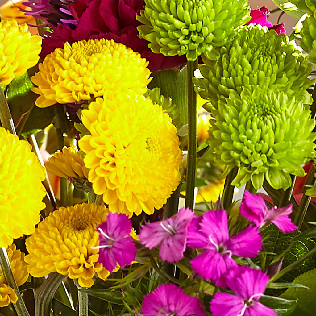 Bold & Bright – A Florist Original – M & R FLOWER AND GIFT SHOP, Lancaster CA