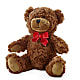 Adorable Plush Bear – M & R FLOWER AND GIFT SHOP, Lancaster CA