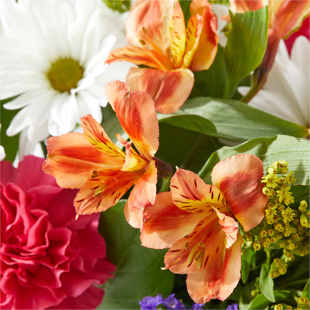 Oopsie Daisy Box Bouquet – M & R FLOWER AND GIFT SHOP, Lancaster CA