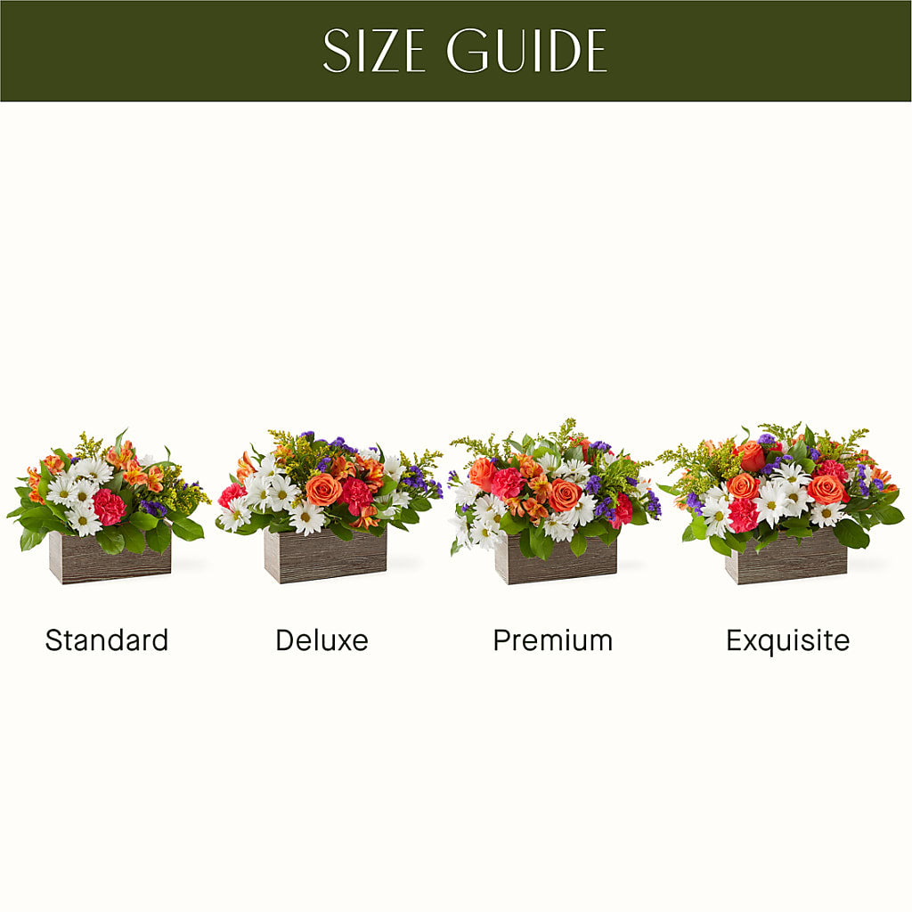 Oopsie Daisy Box Bouquet – M & R FLOWER AND GIFT SHOP, Lancaster CA