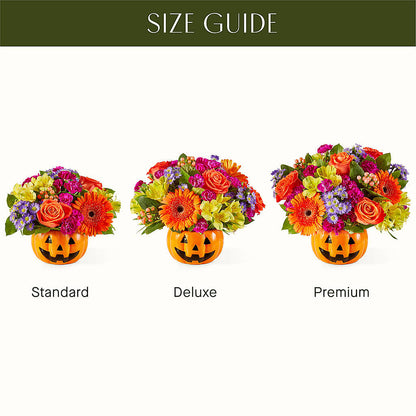 Tricks & Treats Pumpkin – M & R FLOWER AND GIFT SHOP, Lancaster CA