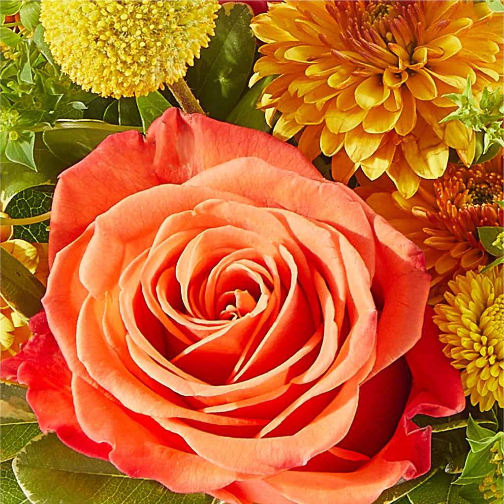 Gourdgeous Pumpkin – M & R FLOWER AND GIFT SHOP, Lancaster CA