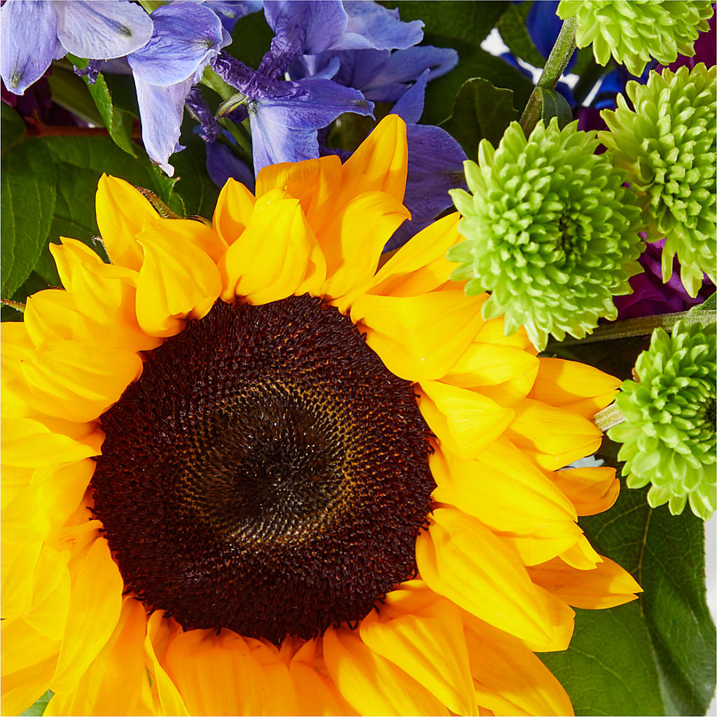 Catching Rays Bouquet – M & R FLOWER AND GIFT SHOP, Lancaster CA