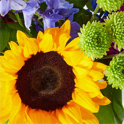 Catching Rays Bouquet – M & R FLOWER AND GIFT SHOP, Lancaster CA