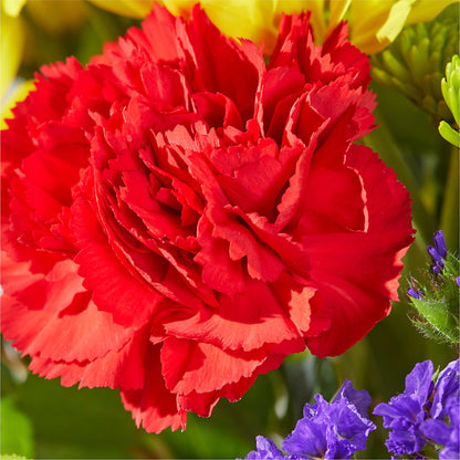 Brighter Days Bouquet – M & R FLOWER AND GIFT SHOP, Lancaster CA