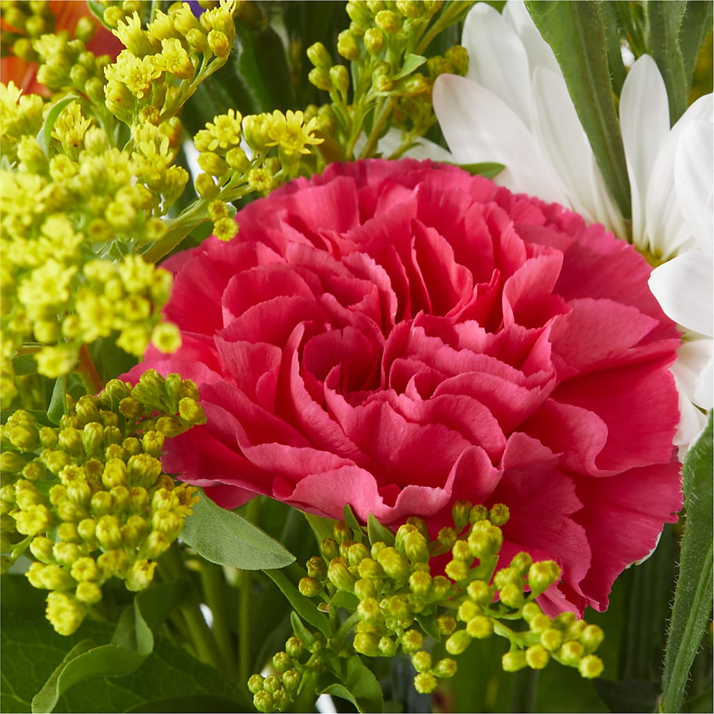 Oopsie Daisy Bouquet – M & R FLOWER AND GIFT SHOP, Lancaster CA