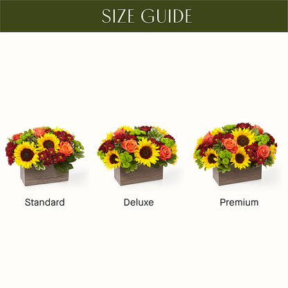 Happy Harvest Garden – M & R FLOWER AND GIFT SHOP, Lancaster CA