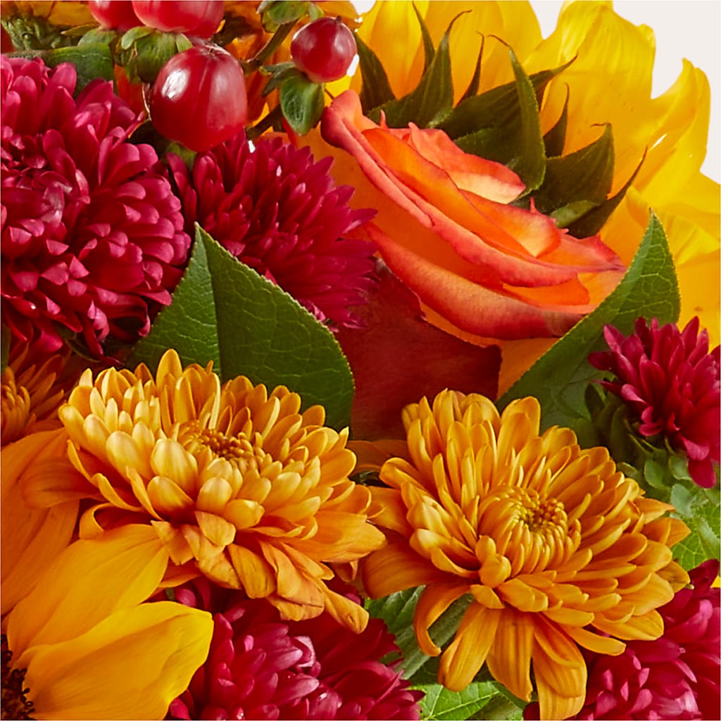 Sweater Season - A Florist Original – M & R FLOWER AND GIFT SHOP, Lancaster CA