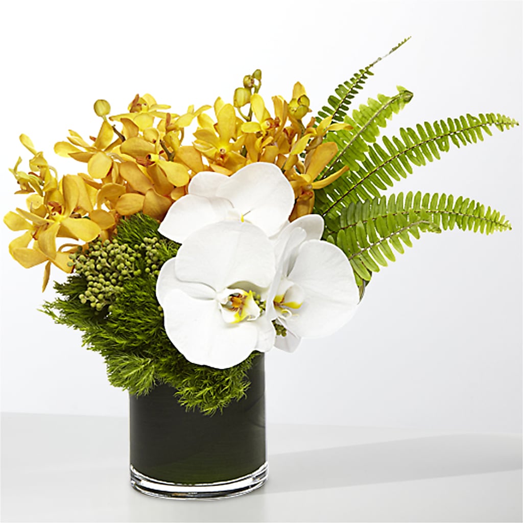 The Tropics – M & R FLOWER AND GIFT SHOP, Lancaster CA