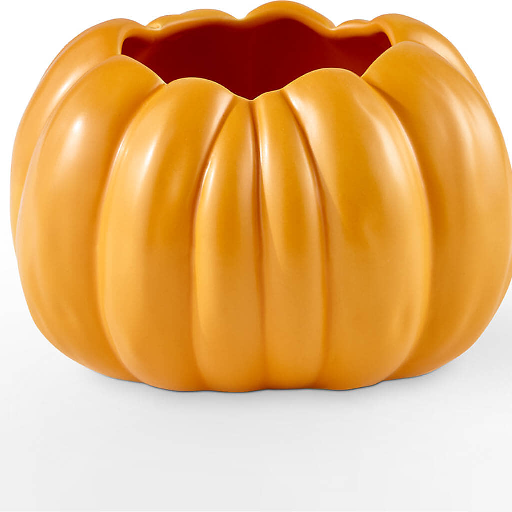 Golden Gourd Pumpkin Bouquet – M & R FLOWER AND GIFT SHOP, Lancaster CA