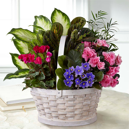 Peaceful Garden Planter – M & R FLOWER AND GIFT SHOP, Lancaster CA