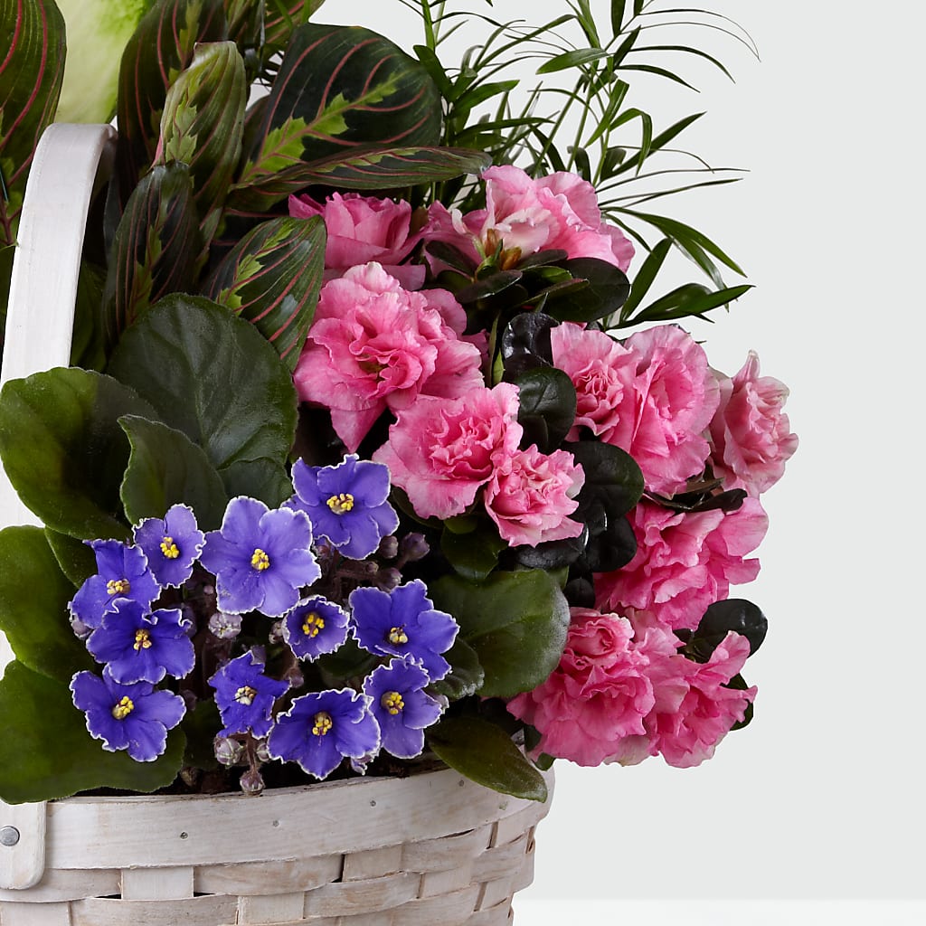 Peaceful Garden Planter – M & R FLOWER AND GIFT SHOP, Lancaster CA