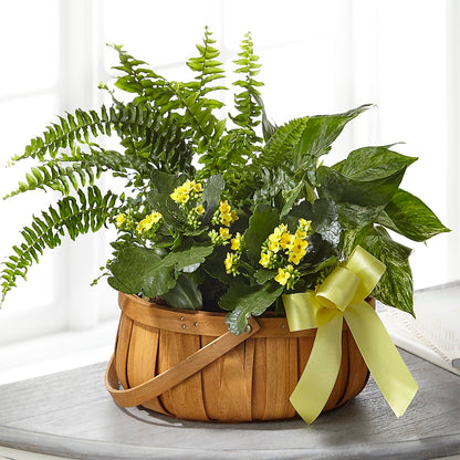 Always Dear Dishgarden – M & R FLOWER AND GIFT SHOP, Lancaster CA