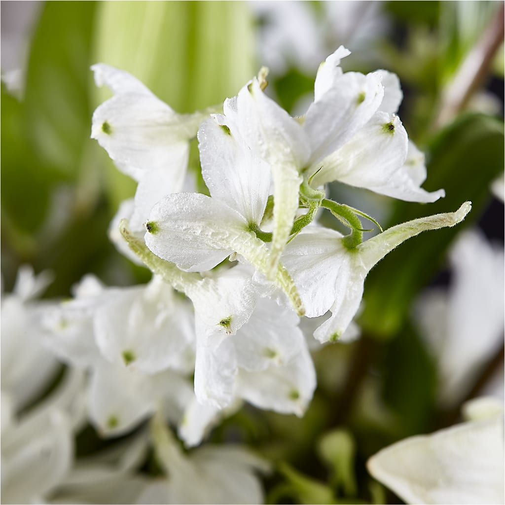 Classic Ivory – A Florist Original – M & R FLOWER AND GIFT SHOP, Lancaster CA