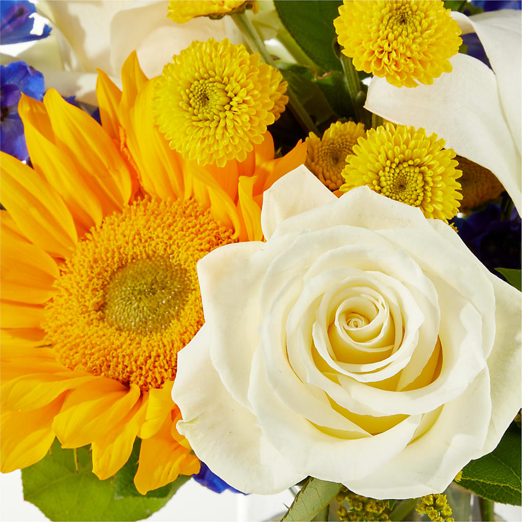 Stargazing Bouquet – M & R FLOWER AND GIFT SHOP, Lancaster CA
