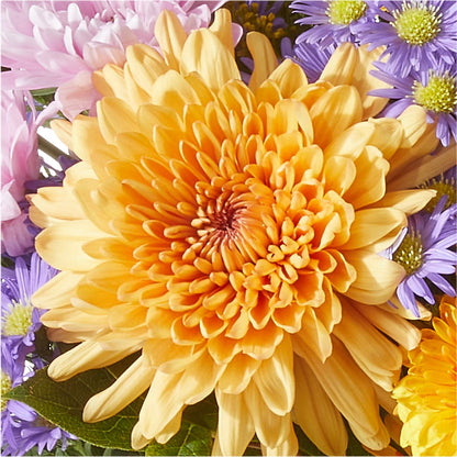 Countryside Bouquet – M & R FLOWER AND GIFT SHOP, Lancaster CA