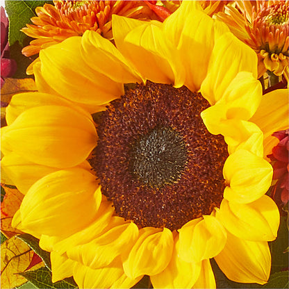 Sunny Side Bouquet – M & R FLOWER AND GIFT SHOP, Lancaster CA