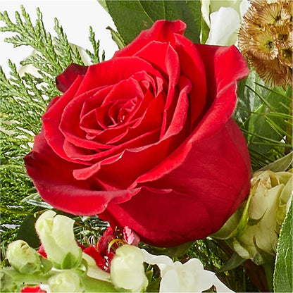 Deck the Halls Bouquet – M & R FLOWER AND GIFT SHOP, Lancaster CA