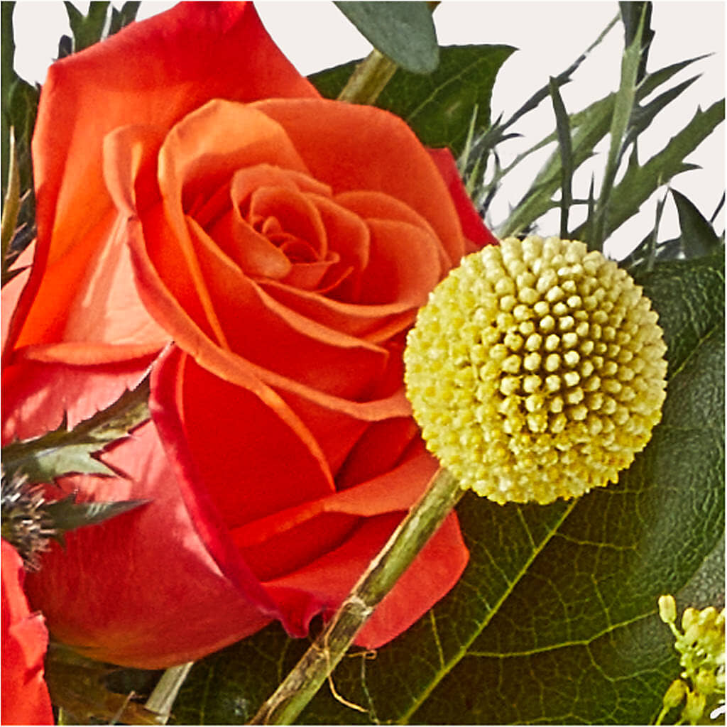 Disco Bouquet – M & R FLOWER AND GIFT SHOP, Lancaster CA