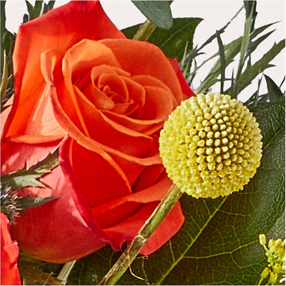 Disco Bouquet – M & R FLOWER AND GIFT SHOP, Lancaster CA