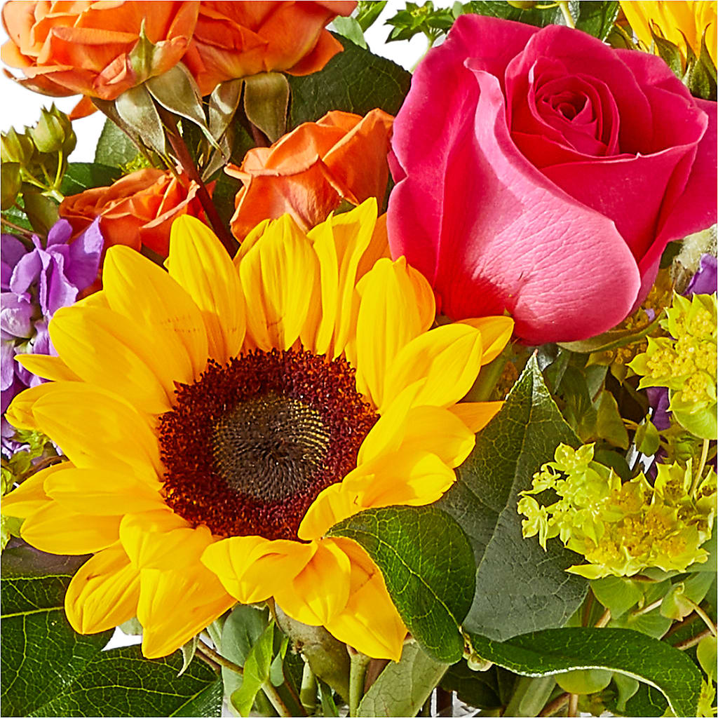 Vibrant Greetings Bouquet – M & R FLOWER AND GIFT SHOP, Lancaster CA
