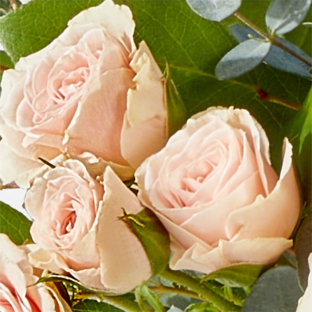 Inspired Bouquet – M & R FLOWER AND GIFT SHOP, Lancaster CA