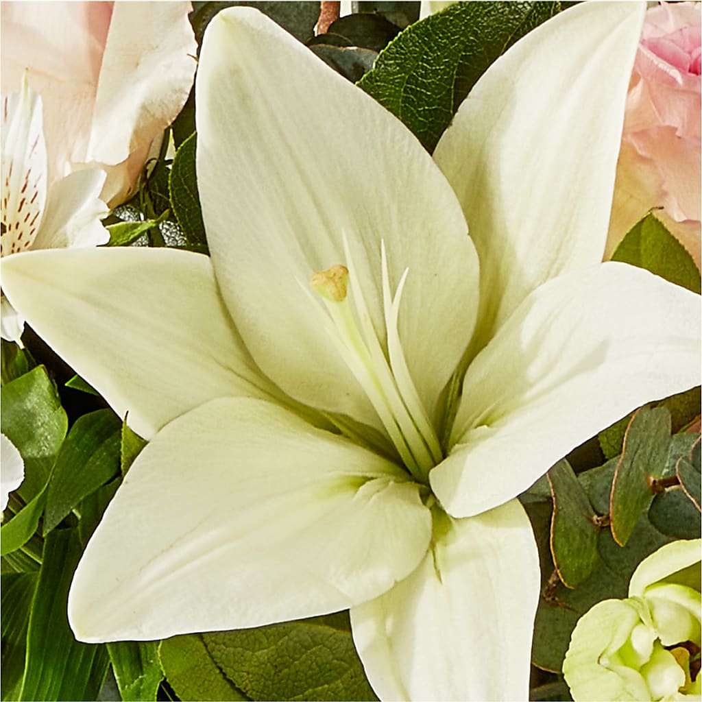 Ballet Slippers Bouquet – M & R FLOWER AND GIFT SHOP, Lancaster CA
