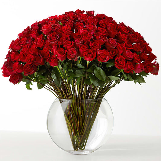 The Idealist – M & R FLOWER AND GIFT SHOP, Lancaster CA