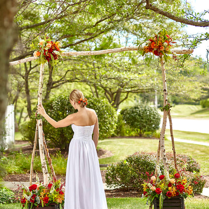 Arbor of Love Archway – M & R FLOWER AND GIFT SHOP, Lancaster CA