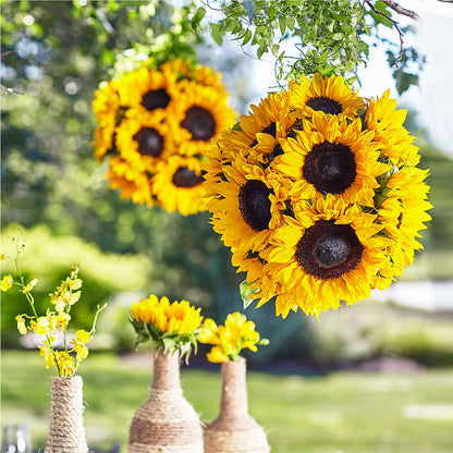 Sublime Garden Hanging Arrangement – M & R FLOWER AND GIFT SHOP, Lancaster CA