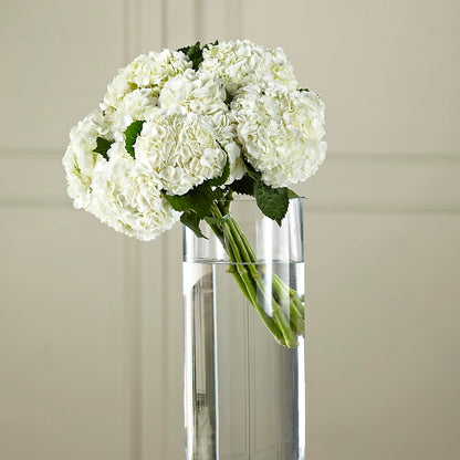 White Hydrangea Hand-Tied Bouquet – M & R FLOWER AND GIFT SHOP, Lancaster CA