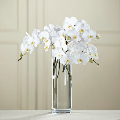 White Phalaenopsis Bouquet – M & R FLOWER AND GIFT SHOP, Lancaster CA