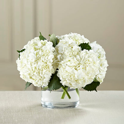 White Hydrangea Bouquet – M & R FLOWER AND GIFT SHOP, Lancaster CA
